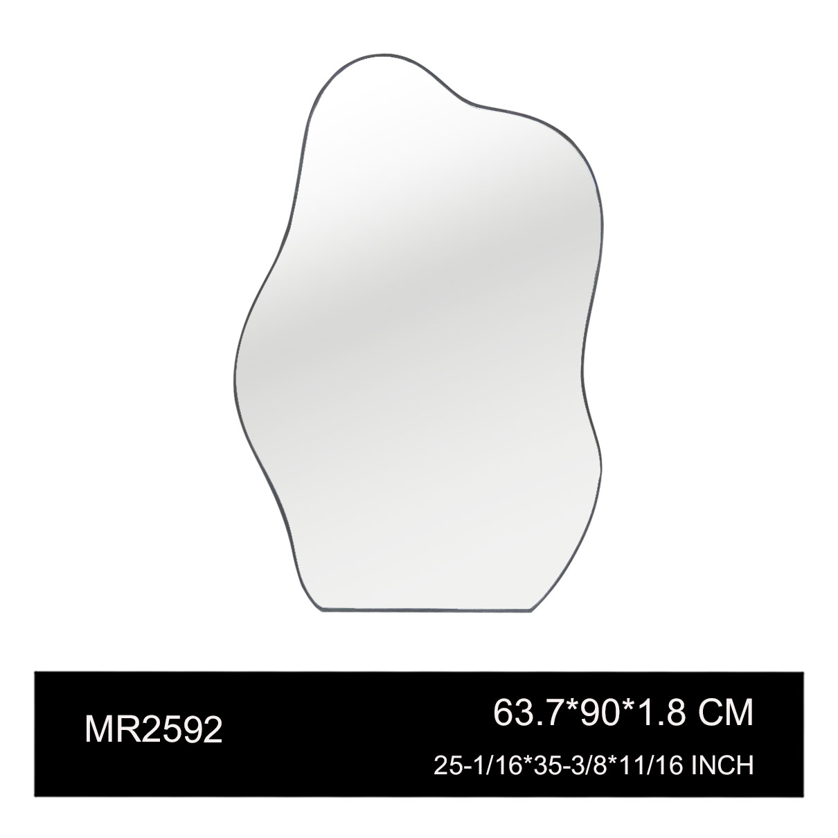 MR2592